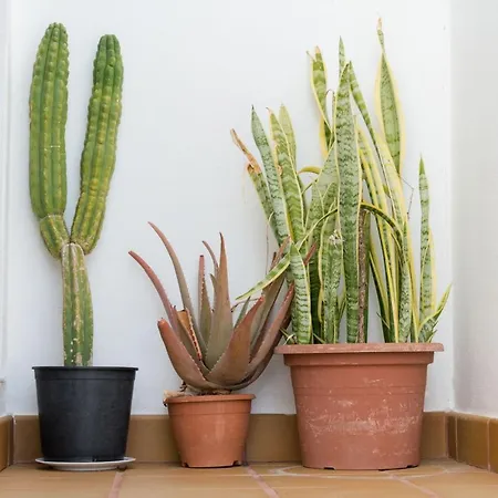 Daire La Casa De Itziar